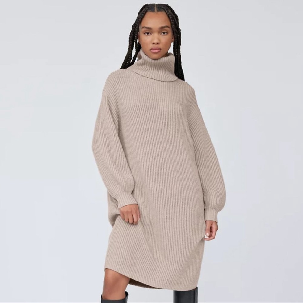 Aritzia Dress